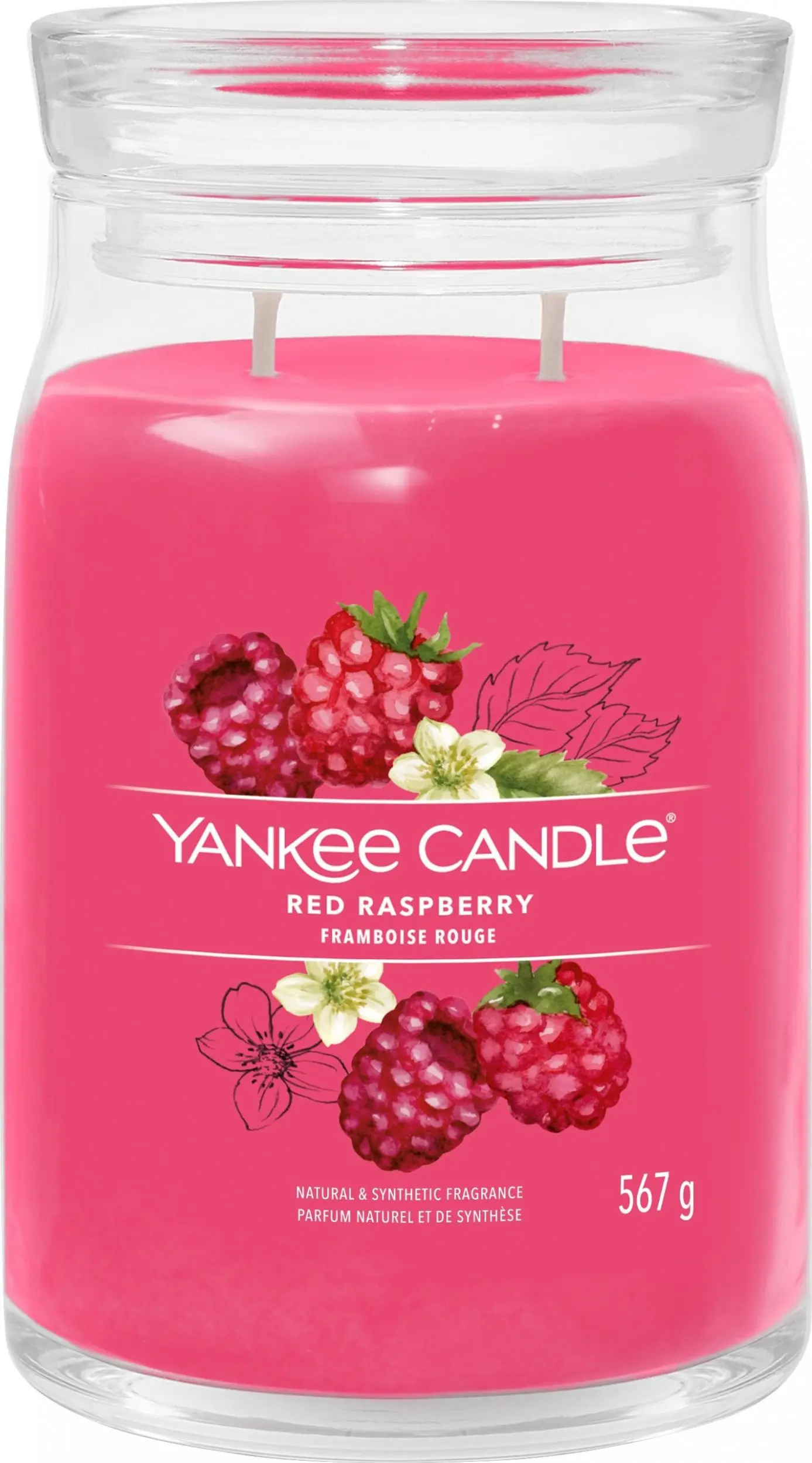 Αξεσουάρ κόμματος + Yankee + 1701375E