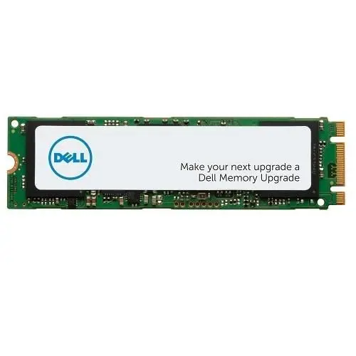 Solid State-schijven + Dell + SNP112P/256G