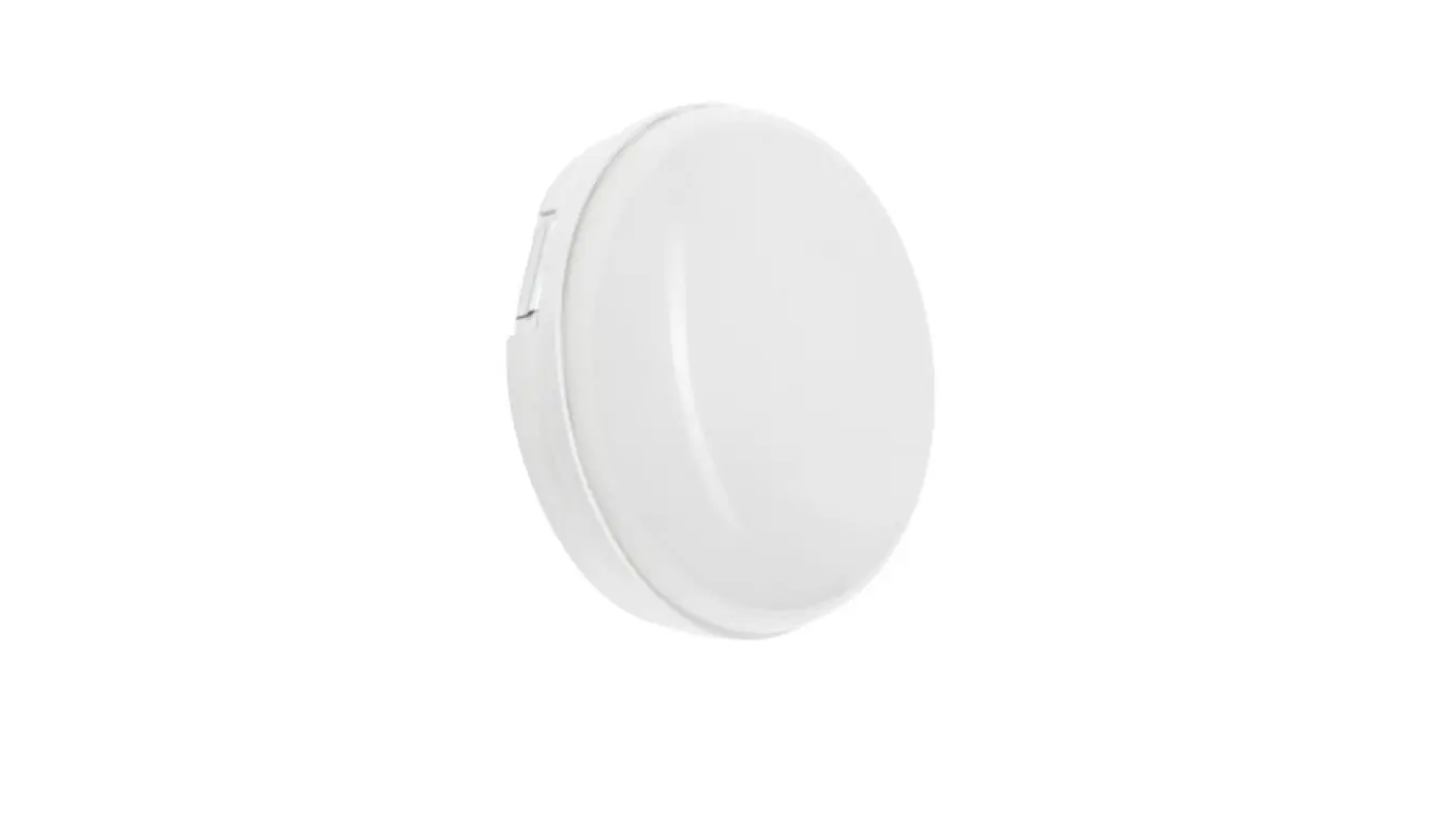 Druga razsvetljava + Wojnarowscy + 1-00021-08073