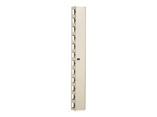 Serveraccessoires + Digitus + DN-19 ORG-42U