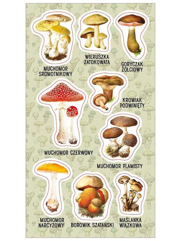 Koolitarbed | DIY tarvikud - Naklejki Trujace Mushrooms